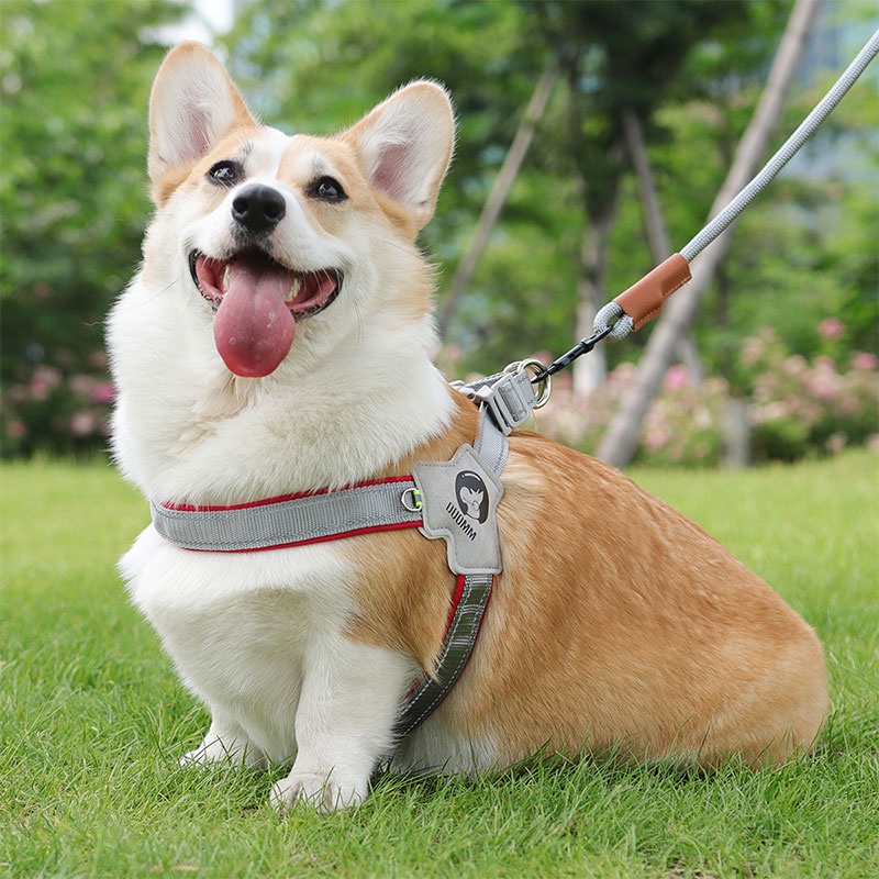 HamshMoc Dây nịt chó có thể điều chỉnh Dây nịt thú cưng nhẹ Phản quang mềm mại với khóa tháo nhanh cho chó nhỏ vừa