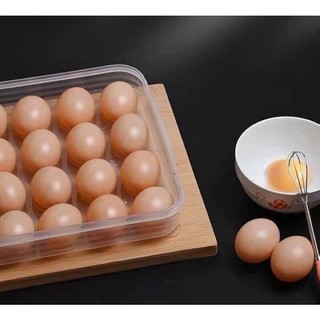 Hộp đựng trứng 24 quả có nắp đậy, khay trứng nhựa Việt Nhật bảo quản chắc chắn không vỡ ms: 6786