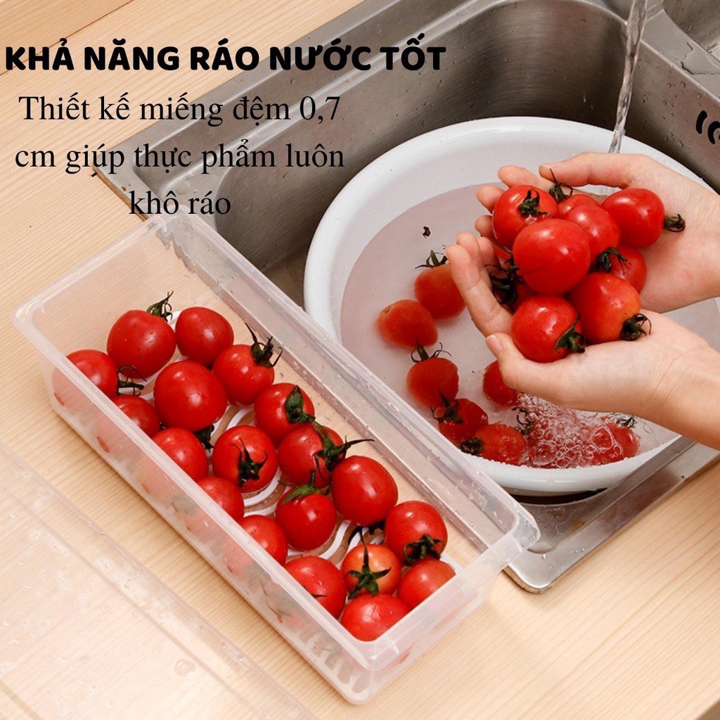 Hộp đựng thực phẩm có nắp đậy kèm khay ráo nước chất liện nhựa thực phẩm an toàn cho sức khỏe tiện lợi