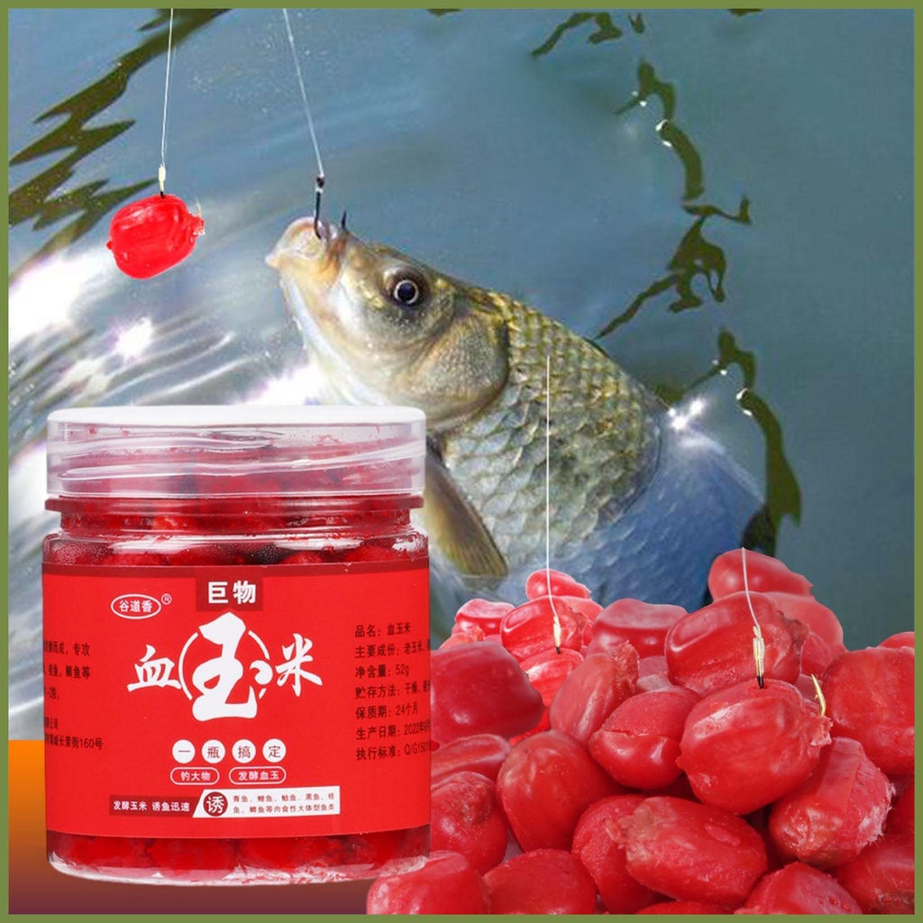 Mồi Câu Cá Chép Chép Mùi Ngô Tự Nhiên chất dẫn dụ cá, Có Mùi Thơm Cho Herring Trout Snakehead Tilapia [koude.vn]