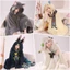 Genshin Va Chạm cos Chăn Điều Hòa Nhiệt Độ Hình Đồng Hồ Óc Chó Cho Nữ cosplay