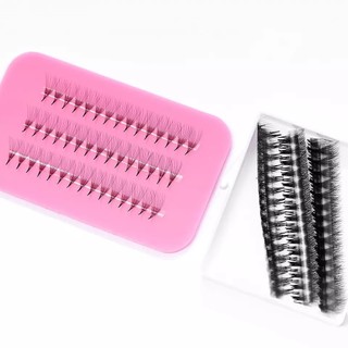 Mi fan line LASHES SUPPLY 7D cong C - CC - D, độ dày 0.07 (1 hộp 1000 fan)
