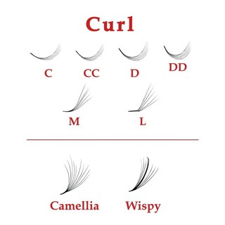 Mi fan 6D LASHES SUPPLY độ cong C -CC - D, độ dày 0.07 (1 hộp 1000 fan) mi volume 6d, (keo nối uốn mi, dụng cụ nối mi)