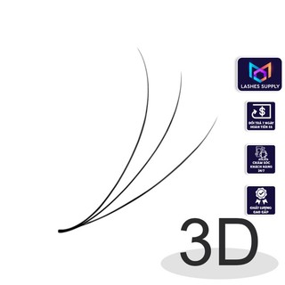Mi fan 3D LASHES SUPPLY độ cong C -CC - D, độ dày 0.07 (1 hộp 500 fan) mi volume 3d, (keo nối mi, uốn mi, dụng cụ nối mi