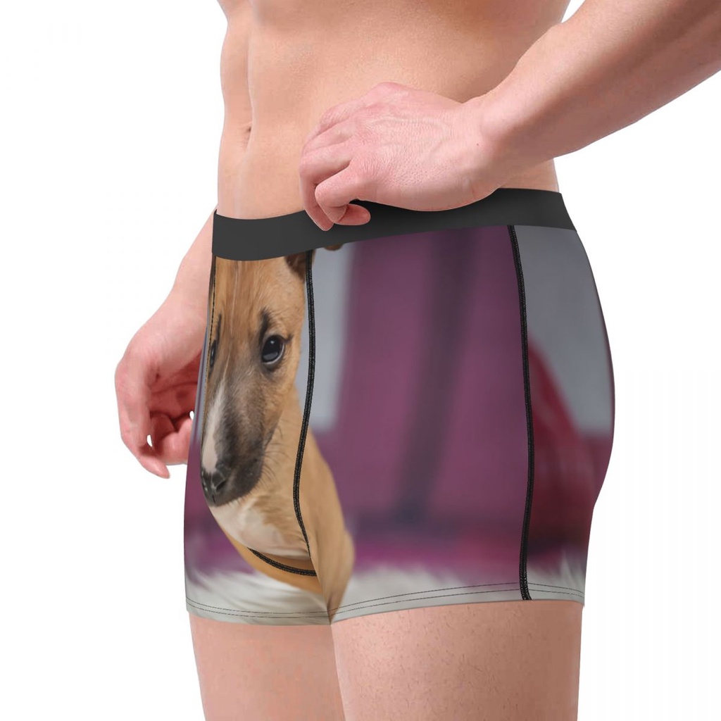 Bull terrier động vật thú cưng cún con boxer quần đùi nam 3d in nam breathbale đồ lót quần lót quần lót
