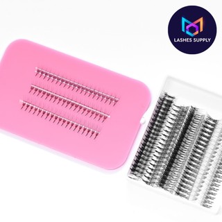 Mi fan Line, dây katun - wisspy 7d -0.07- cong C-CC-D LASHES SUPPLY,hộp 1000 fan, mi volume, dụng cụ nối mi