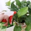 Đầu Vòi Xịt Nước Bằng Nhựa Đa Năng Tiện Dụng