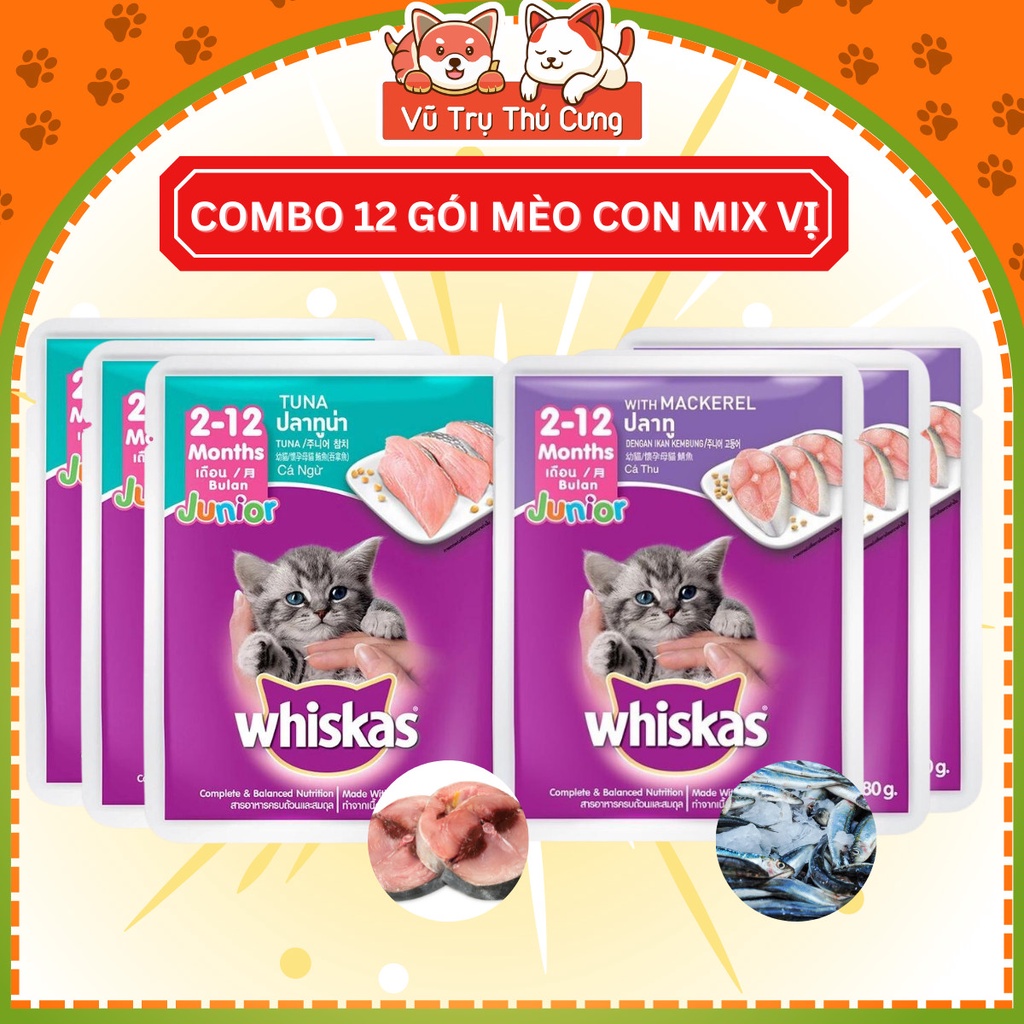 Combo 12 gói pate Whiskas cho Mèo con và Mèo trưởng thành