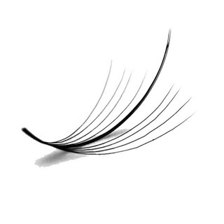 Mi fan Line, dây katun - wisspy 7d -0.07- cong C-CC-D LASHES SUPPLY,hộp 1000 fan, mi volume, dụng cụ nối mi