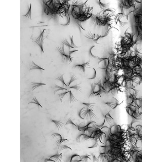 Mi fan 5D  LASHES SUPPLY độ cong C -CC - D, độ dày 0.05 (1 hộp 500 fan) mi volume 5d, (keo nối mi, uốn mi, dụng cụ nối m