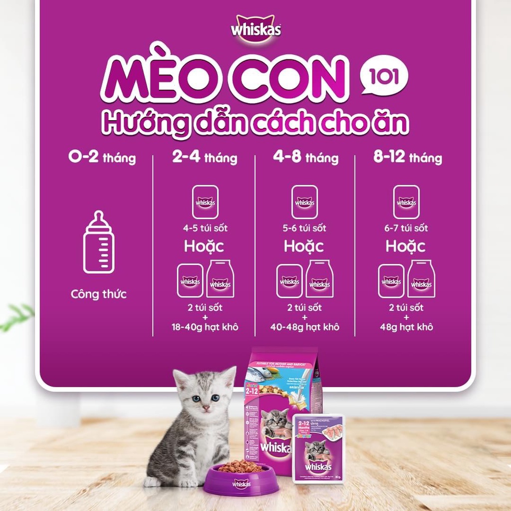 Combo 12 gói Pate Whiskas cho Mèo con Vị Cá ngừ 80g