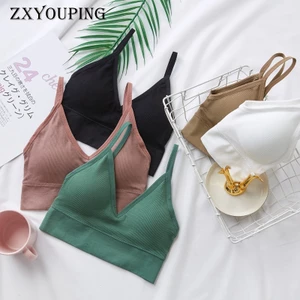 Áo Ngực Thể Thao Không Đường May Cổ Chữ V Không Gọng Thoải Mái Cho Nữ