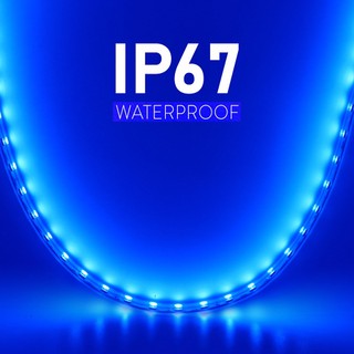 Đèn LED dải RGB thông minh 220V, Điều khiển ứng dụng Bluetooth chống nước IP67 Băng LED linh hoạt, Đồng bộ hóa âm nhạc Đèn xung quanh cho khách sạn ngoài trời trong nhà Trang trí nhà Giáng sinh