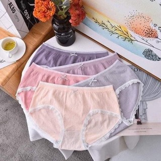 Hộp 5 Quần Lót Cotton Hồng Hạc 4 Chiều Co Giãn Luyoo11.vn