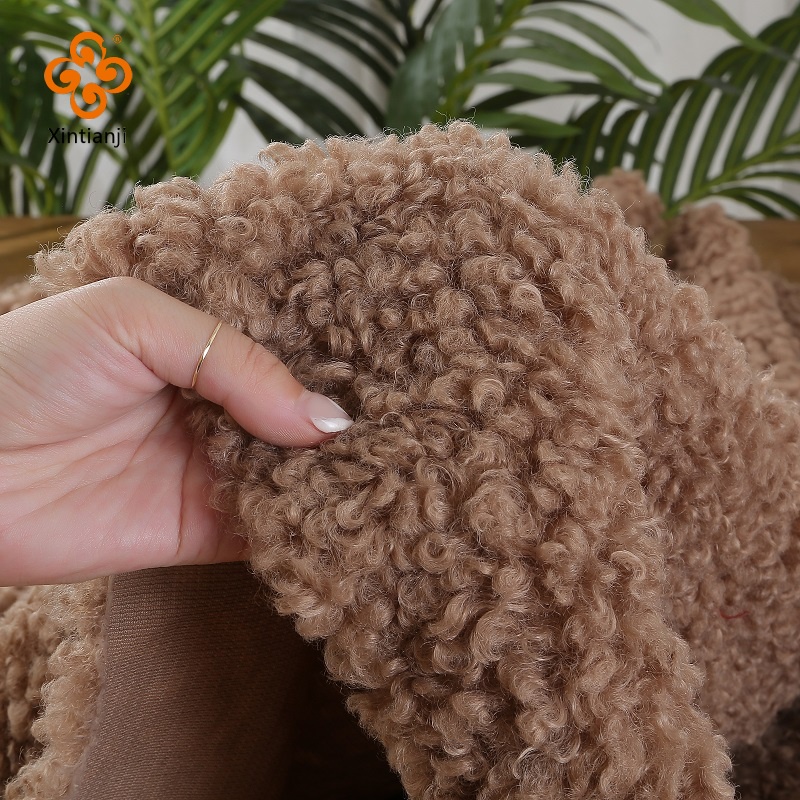 50x50cm Giả Len Cuộn Teddy Sang Trọng Vải Mềm Mại Ấm Áp Búp Bê Thú Cưng Quần Áo Găng Tay Lót Dày Vải Lông Cừu DIY May TJ10553