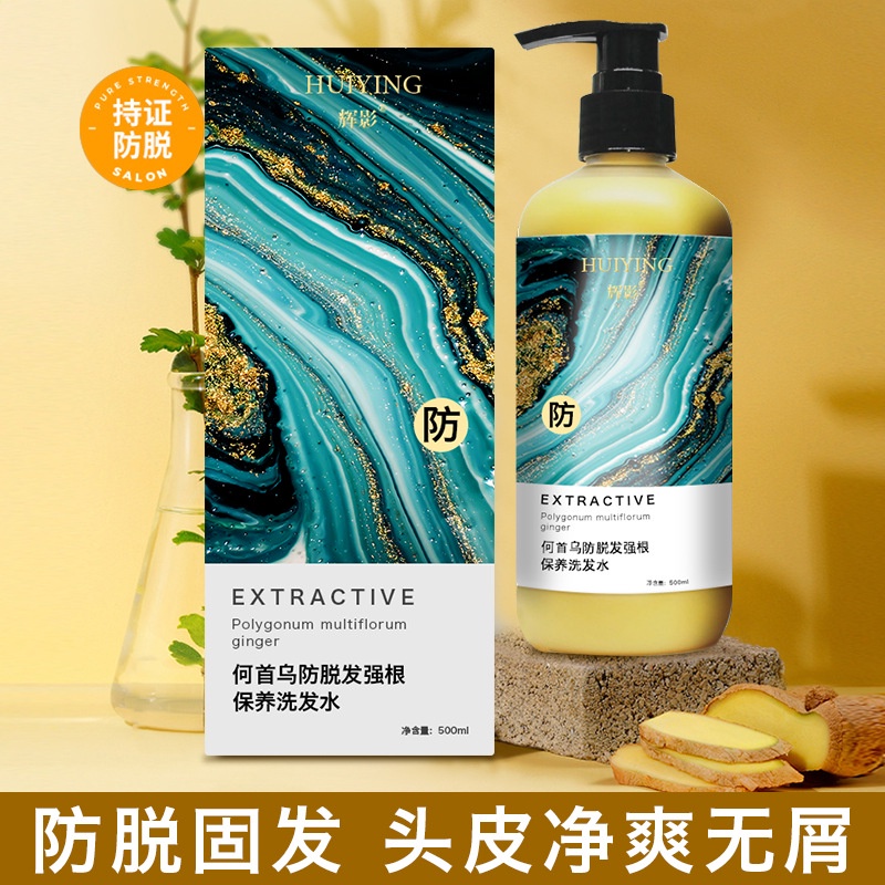 Spot ginger antihair loss shampoo Platycladus orientalis oil control