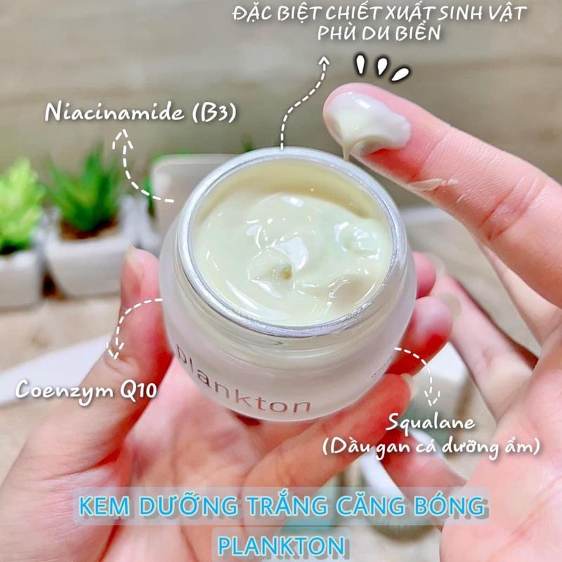Kem Plankton Mua Ở Đâu, Giá Bao Nhiêu Tiền