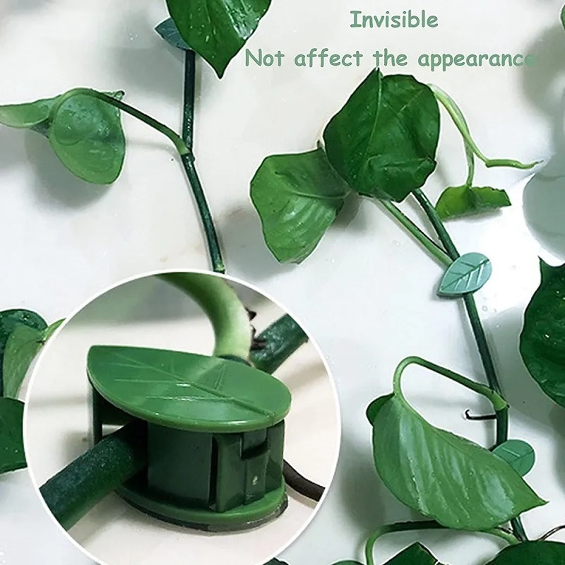 Kẹp Cố Định Dây Leo / Cây Cảnh Treo Tường Vô Hình