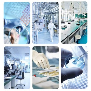 Risedot 1000 Chiếc Mini Chuyển Pipet, 0.2ml Lỏng Nhỏ Giọt, Nhựa Polyethylene Cao Cấp Mắt Nhỏ Giọt Hỗn Hợp Lỏng