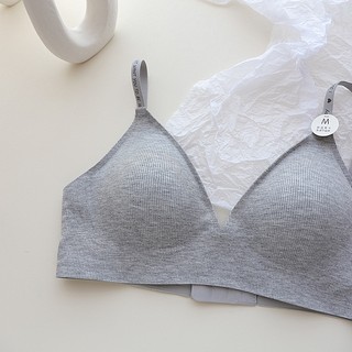 Áo Lót Thể Thao Nâng Ngực Không Gọng Không Đường May Có Đệm Ngực In Chữ Thoải Mái Gợi Cảm Cho Nữ