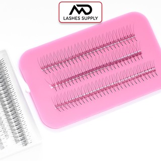 Mi fan LINE 3D độ cong C - CC - D, độ dày 0.7 - 1 hộp 1000 fan - dụng cụ nối mi