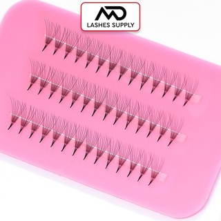 Mi fan LINE 8D độ cong C - CC - D, độ dày 0.7 - 1 hộp 1000 fan - dụng cụ nối mi