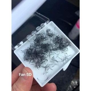 Mi fan 3D LASHES SUPPLY độ cong C -CC - D, độ dày 0.07 (1 hộp 500 fan) mi volume 3d, (keo nối mi, uốn mi, dụng cụ nối mi