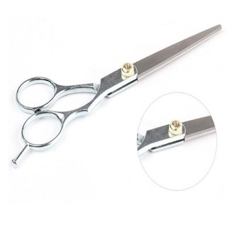 Kéo cắt tóc MARBLEM, Kéo cắt tóc mỏng 6.0 Inch, Salon cắt tóc bằng thép không gỉ chuyên nghiệp Kéo cắt tóc bạc Cửa hàng cắt tóc