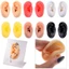 Mô hình xỏ khuyên MONOSTYLE, Mô hình tai trang sức cơ thể có thể tái sử dụng, Đạo cụ giảng dạy mềm Dụng cụ trưng bày tai silicon Đạo cụ giảng dạy y tế
