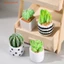 1 / 4 Cái 1: 12 Nhà búp bê Cây thu nhỏ Chậu cây xương rồng Mô hình phong cảnh vi mô Trang trí sân vườn Phụ kiện nhà búp bê