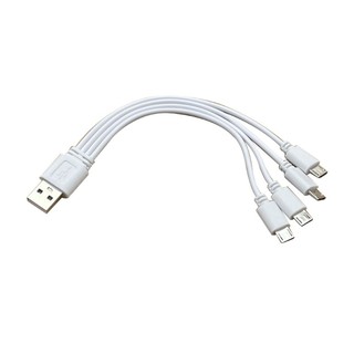 4 in 1 Micro USB Charger Cable Multi Charger Cable for School, Travel, Home Use