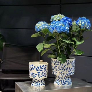 MANDY HOME Chậu Sứ Trồng Cây Hoa phalaenopsis Màu Trắng Xanh Dương Phong Cách retro Hiện Đại Đơn Giản Trang Trí Nội Thất