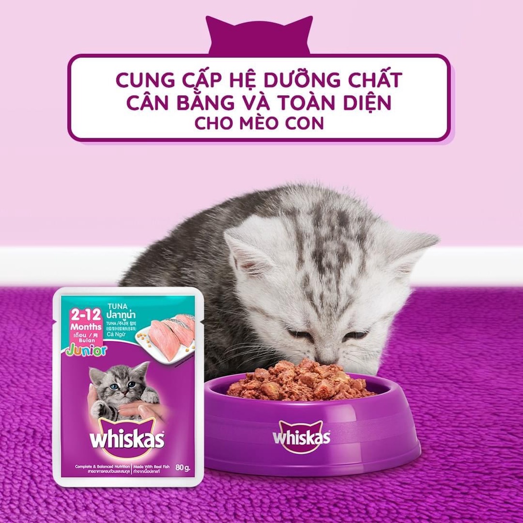 Combo 12 gói Pate Whiskas cho Mèo con Vị Cá ngừ 80g