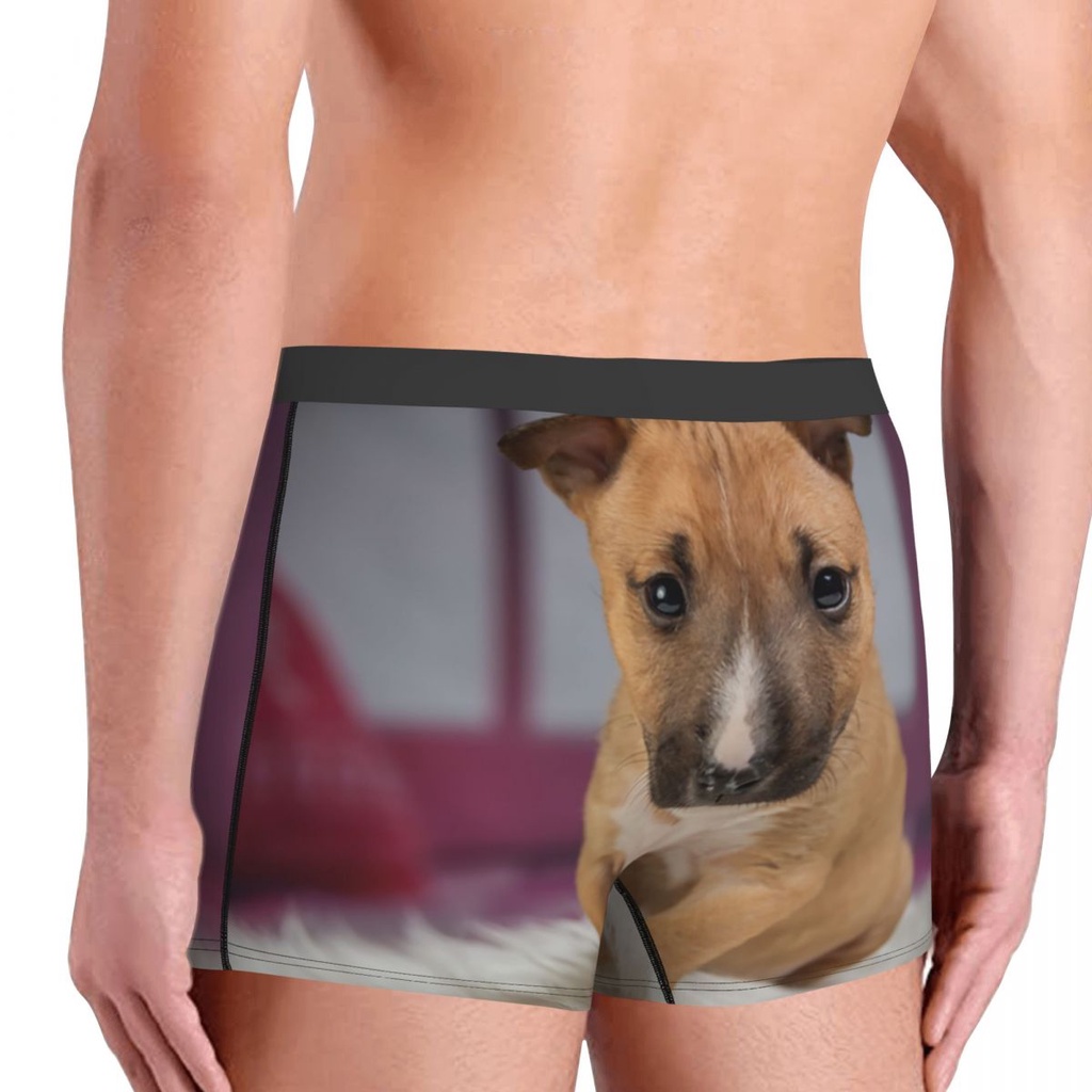Bull terrier động vật thú cưng cún con boxer quần đùi nam 3d in nam breathbale đồ lót quần lót quần lót
