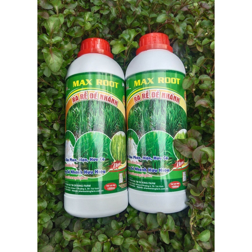 MAX ROOT - RA RỄ ĐẺ NHÁNH - CHAI 1L | Shopee Việt Nam