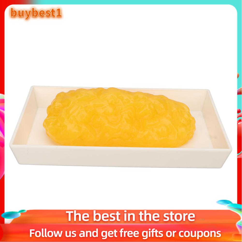 Buybest2 Authentic Human Body Fat Replica Anatomical Model Shopee Việt Nam