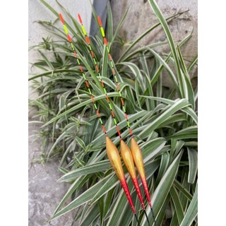 Phao Câu Đài Mỹ Nhân Ngư Chính Hãng - G02 - G07 - G11 Phao Câu Cá Cao Cấp