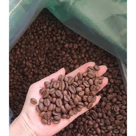 Cà phê Robusta size 18 mộc, Robusta rang bơ, Robusta )