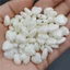 20 Chiếc Vỏ Trái Tim Hạt Mặt Dây Chuyền Giả Ngọc Trai Ngôi Sao Acrylic Trắng Cho DIY Vòng Tay Vòng Cổ Trang Sức Làm Tình Yêu Bông Tai Phụ Kiện