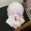 YT4 20cm Jujutsu Kaisen Q Phiên Bản Gojo Satoru Búp Bê Sang Trọng Có Thể Mặc Đồ Chơi Nhồi Bông Cho Trẻ Em Bộ Sưu Tập Quà Tặng Cho Bé Gái