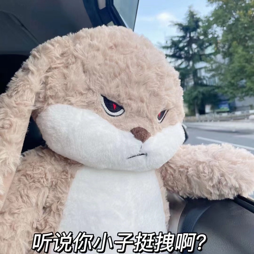 Rytanda Thỏ Diu Diu Rabbit Plush Toy Thỏ Diu Diu ZEIO Cute Rabbit Doll Thỏ Diu Diu dễ thương Thú nhồi bông thỏ giận dữ Thú Nhồi Bông Hình Thỏ Dễ Thương Làm Quà Tặng Cho Bé bông thỏ giận dữ