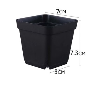 CHẬU NHỰA VUÔNG, Chậu trồng hoa bằng nhựa dày dặn có, thích hợp trồng sen đá, tai thỏ, xương rồng để bàn làm việc -SUNND