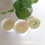 Lốc 50 Ly, Cốc Giấy Trắng 1PE 180ml, 270ml, 400ml, 500ml Đựng Trà, Nước Ngọt, Cafe, Nước Ép - Tổng Kho Hải Hạnh