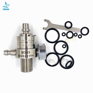 Van Kiểm Tra Áp Suất Cao m18x1.5 8mm 4500psi 40mpa Bằng Thép Không Gỉ