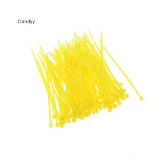 Ndy 100 Chiếc 3x100 Mm Nhựa Nylon Nhiều Màu Sắc Dây Cáp Tổ Chức Khóa Kéo Dây Đeo N