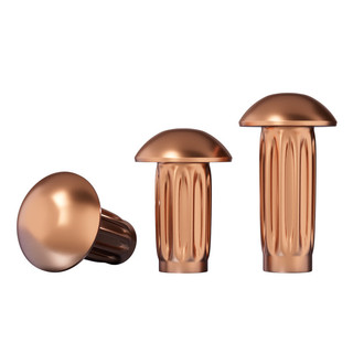 ((LXY) Đinh tán Đầu tròn Đồng m2 / m2.5 / m3 / m4 (RM-VN-1)