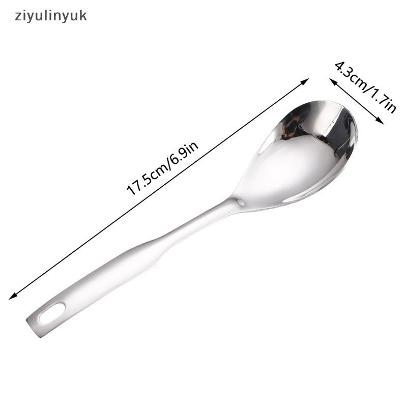 Ziyulinyuk Thìa Nhà Bếp Bằng Thép Không Gỉ Có Lỗ Ẩm Thực Cá Caviar Builder Roe Sauce Lọc Thìa Nhà Bếp Nấu Ăn Tiện Ích EN