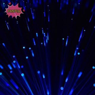 Pnpia Đèn LED sợi quang nhiều màu Đèn ngủ Giáng sinh Đám cưới Ngày lễ Trang trí nội thất Boutique