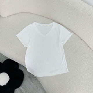 Áo Thun Bigsize Nữ Áo Cổ Tim Tay Ngắn Vải Thun Co Giãn Mặc Mát CHo Chubby 60-92kg G174