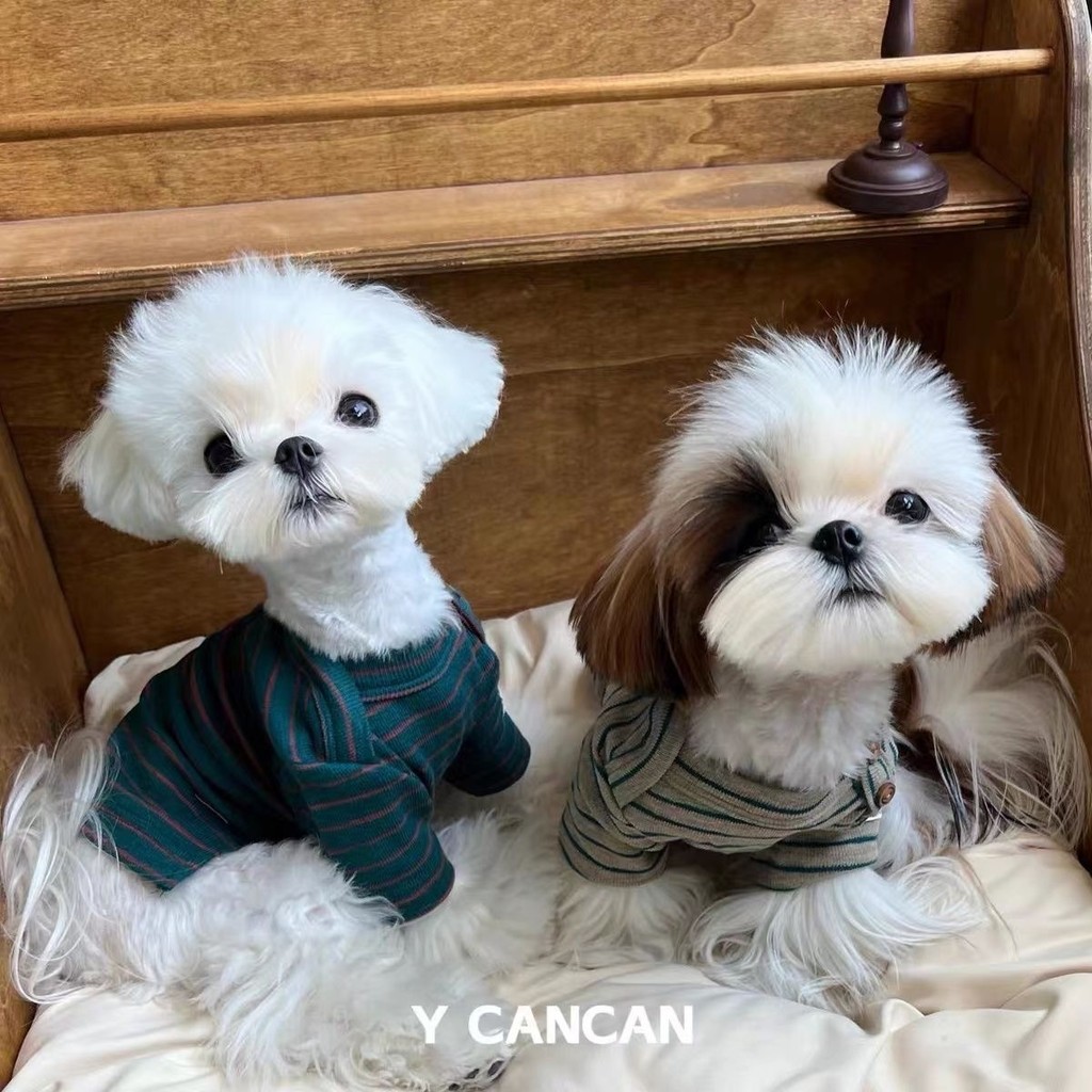 Mùa Xuân Thu Đông Quần Áo Cho Chó Thú Cưng Quần Áo Mèo Chó Bichon Teddy Chống Trơn
